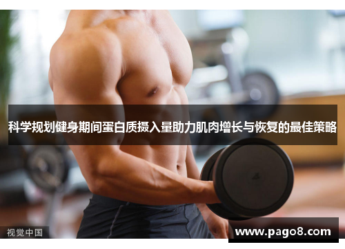 科学规划健身期间蛋白质摄入量助力肌肉增长与恢复的最佳策略